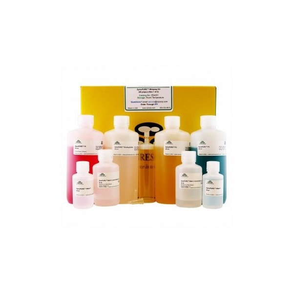 ZymoPURE II Plasmid Midiprep, 50 Preps